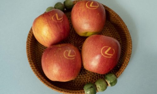 Nowość w ofercie Lexusa. Można ją zjeść